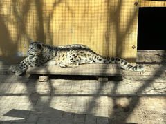 -青藏高原野生动物园