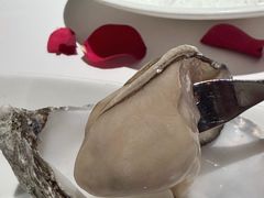 -Oyster Talks 四度蚝法餐厅