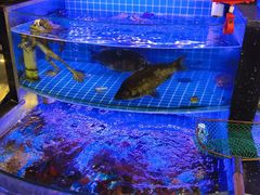 -亿牌牌东北烧烤(博物馆旗舰店)