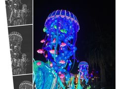 -海合安武汉极地海洋公园