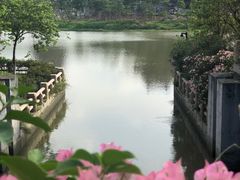 -海珠湖公园