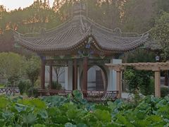 -莲湖公园