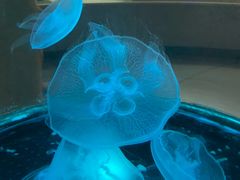 -常州海昌海洋探索馆