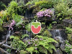 -深圳仙湖植物园