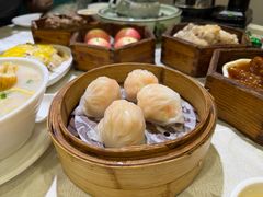 荣华招牌虾饺皇-荣华楼