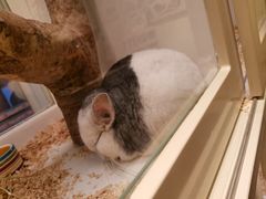 -龙猫仔乐园(惠福东路店)