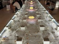 -青岛贝壳博物馆