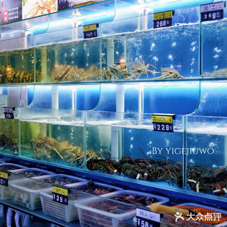 哇!这么丰富的海鲜,只花了100+💰