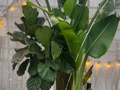 -天空花园餐吧·生日·团建(南山店)