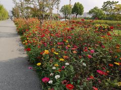 -菊园百果园
