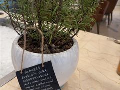 -TABLE·味西餐厅-成都茂业JW万豪酒店