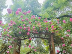 -莫多多餐厅