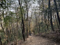 -岳麓山风景名胜区