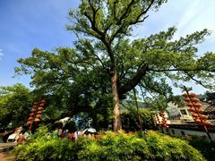 -新安江山水画廊风景区