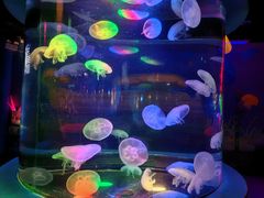 -太平洋海底世界