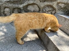 -北京凤凰岭