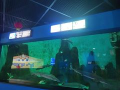 -大连圣亚海洋世界