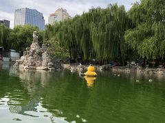 -团结湖公园