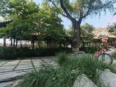 -菖蒲河公园