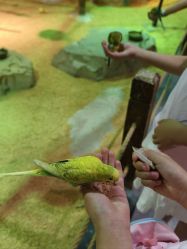 -酷嗒动物文化乐园(cutezoo西溪乐天城店)