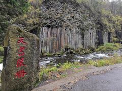 -望天鹅景区