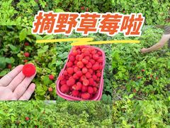 -鄱阳湖国家湿地公园