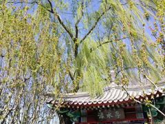 -郭守敬纪念馆