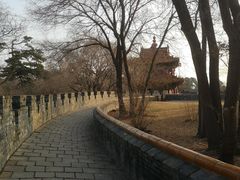 -北陵公园