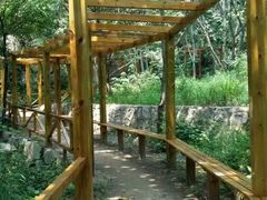 -大岭沟猕猴桃谷风景区