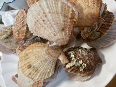 -宾朋海鲜饭庄(兴海路店)