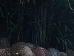-天赐温泉