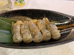 腌皮皮虾-渔娘渔家丹东海鲜(东直门店)