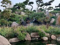 -罗红摄影艺术馆