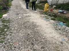 -喜杨洋草莓采摘园
