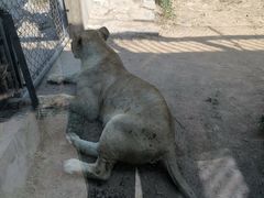 -石家庄市动物园