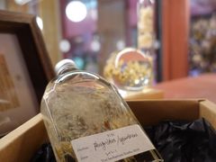 -二酉书店TOYOU BOOKS