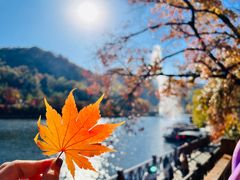 -关门山森林公园