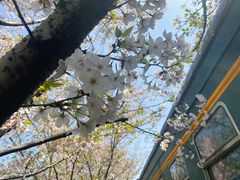 -新天地活力PARK