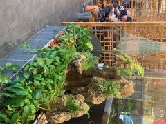 -铁锅炖灶台鱼老三炖鱼馆