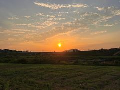 -光明小镇欢乐田园