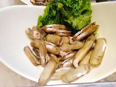 蛏子-西安西藏大厦开元名都大酒店·自助餐厅
