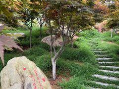 -广州市帽峰山景区