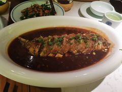 -大榕树下顺德菜(融创茂店)