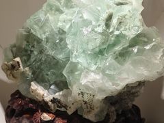 -安徽省地质博物馆