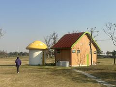 -春花秋色城市公园