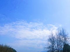 -大围山国家森林公园