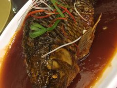 -津菜宋记老房子(鼓楼店)