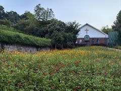 -天目湖涵田度假村