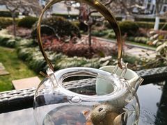 -荷风细雨·中国茶宴(碧云店)