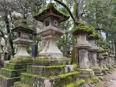 -奈良公园